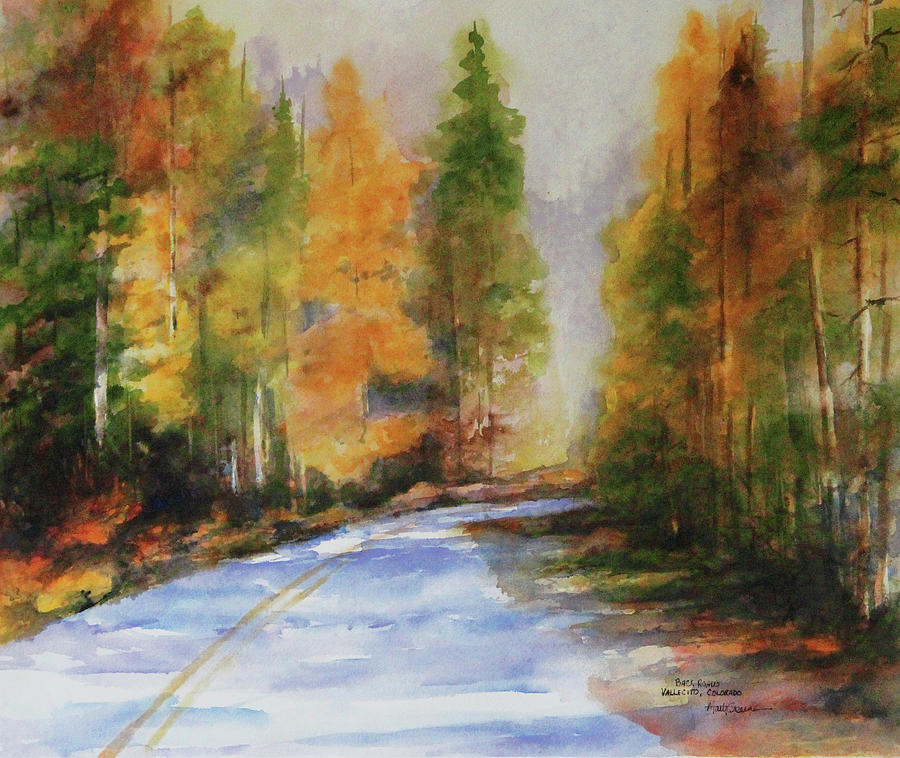 Vallecito Colorado Back Roads Painting by Marti Green