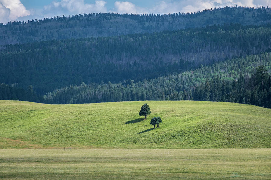 Valles Caldera New Mexico Photograph by Mary Lee Dereske