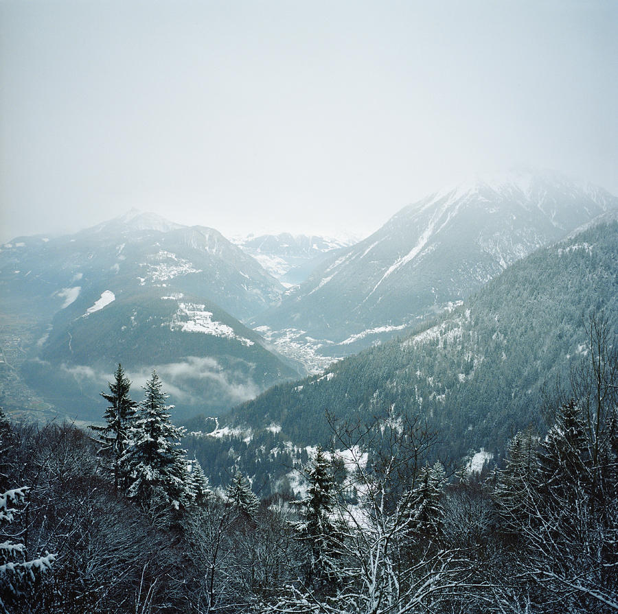 Valley forest in snow Photograph by Silvia Otte