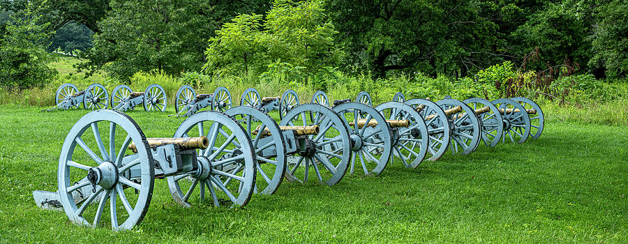 Tree Photograph - Valley Forge Cannons by Paul Freidlund