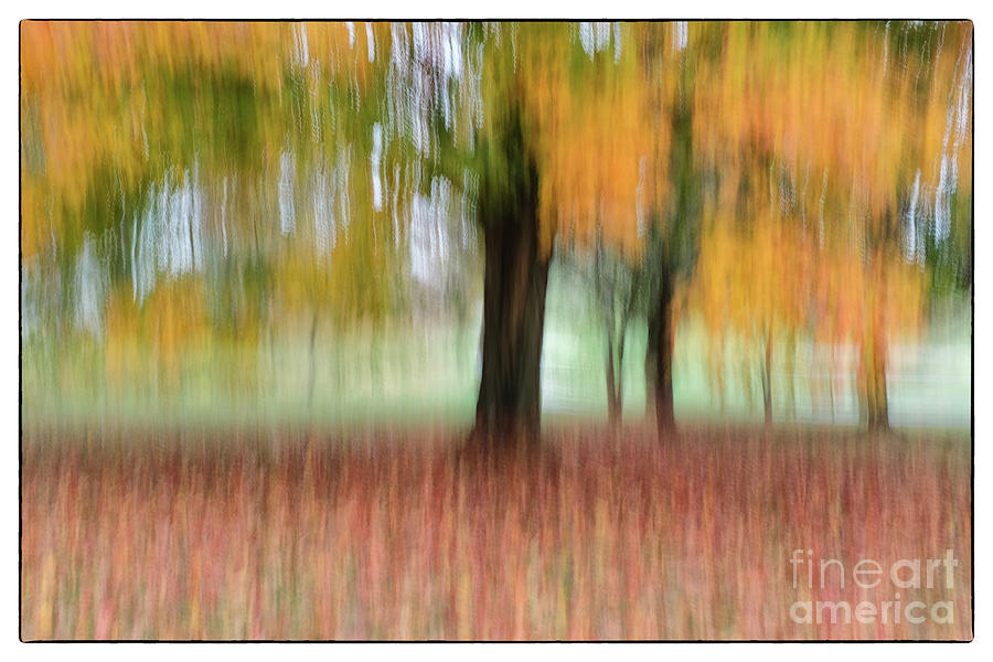 Valley Forge PA 5 Photograph by Jack Paolini - Fine Art America