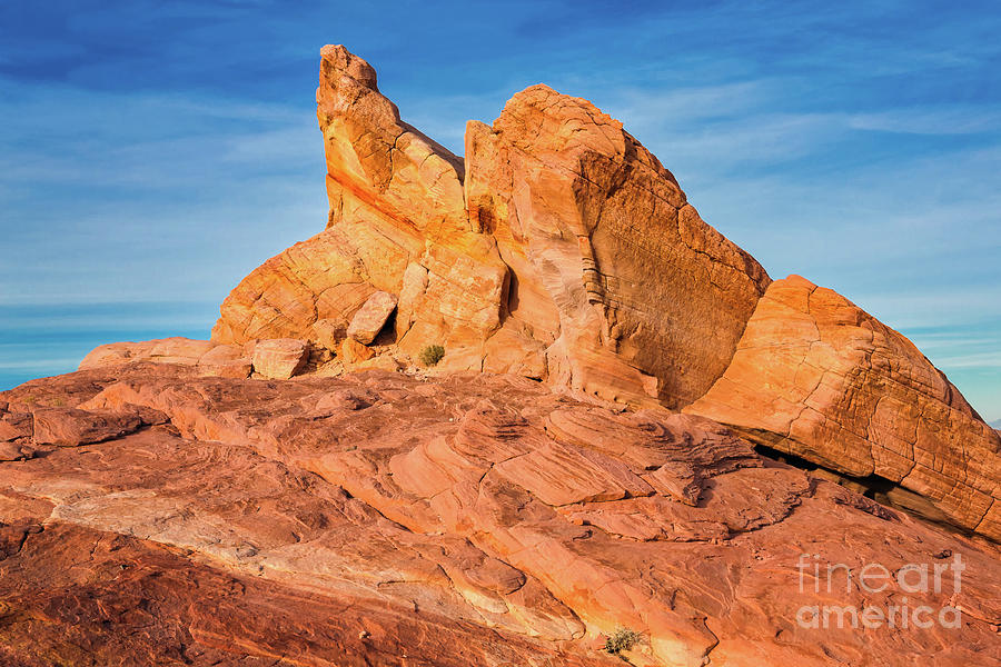 Valley of Fire 191 Photograph by Maria Struss Photography