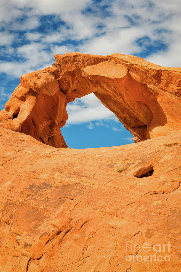 Valley Of Fire Arch Rock 14 Photograph By Maria Struss Photography Fine Art America 