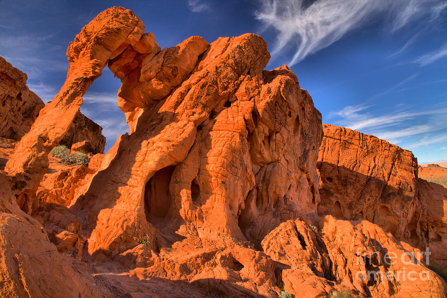 Nature Photograph - Valley Of Fire Climbing Elephant by Adam Jewell