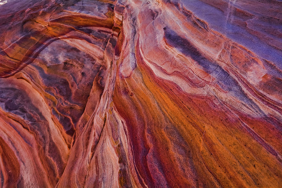 Valley of Fire Colorful Sandstone Photograph by Kyle Hanson
