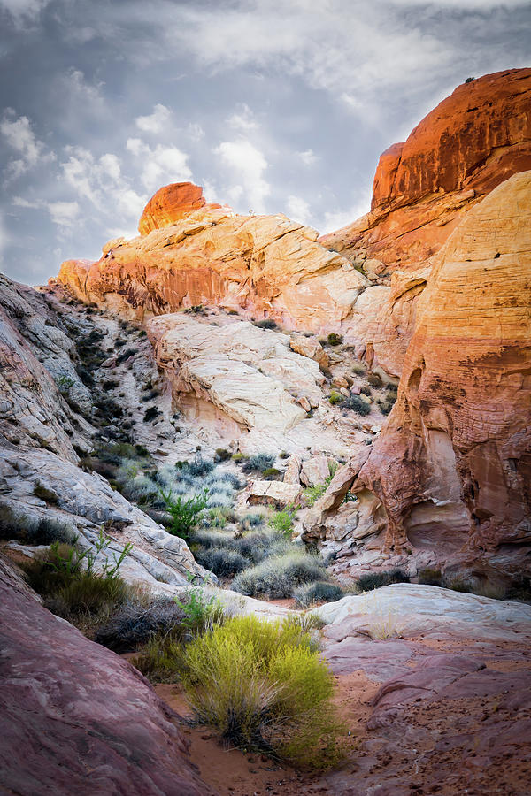 Valley of Fire Photograph by Debbie Kindschuh - Fine Art America