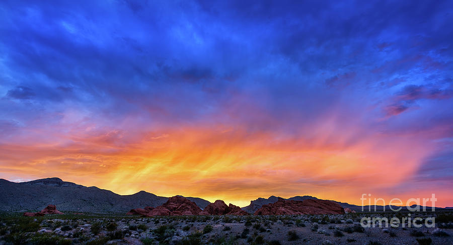 Valley Of Fire Photograph by Doug Sturgess