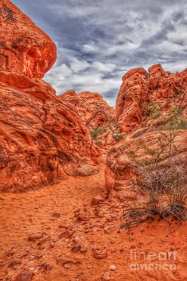 Valley of Fire Earthscapes 10 Photograph by Rodney Lee Williams