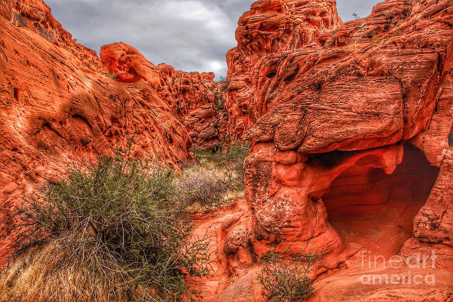 Valley of Fire Earthscapes 11 Photograph by Rodney Lee Williams