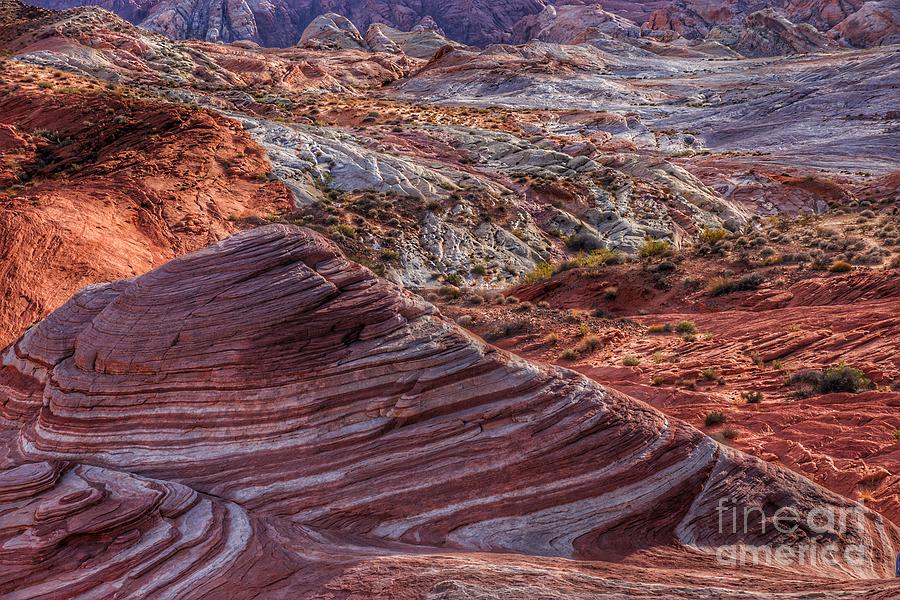 Valley of Fire Earthscapes 14 Photograph by Rodney Lee Williams