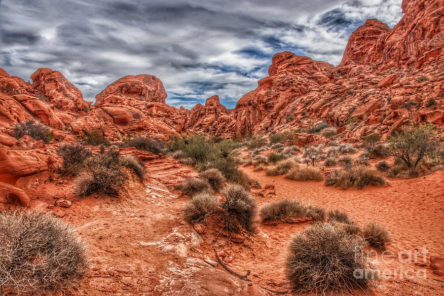 Valley of Fire Earthscapes 5 Photograph by Rodney Lee Williams