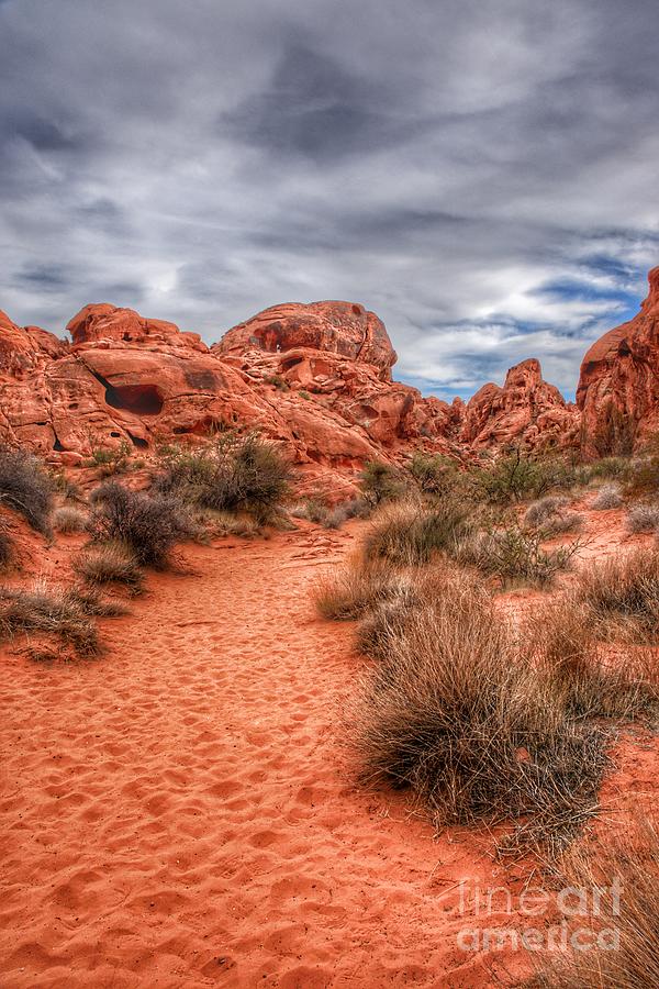 Valley of Fire Earthscapes 7 Photograph by Rodney Lee Williams