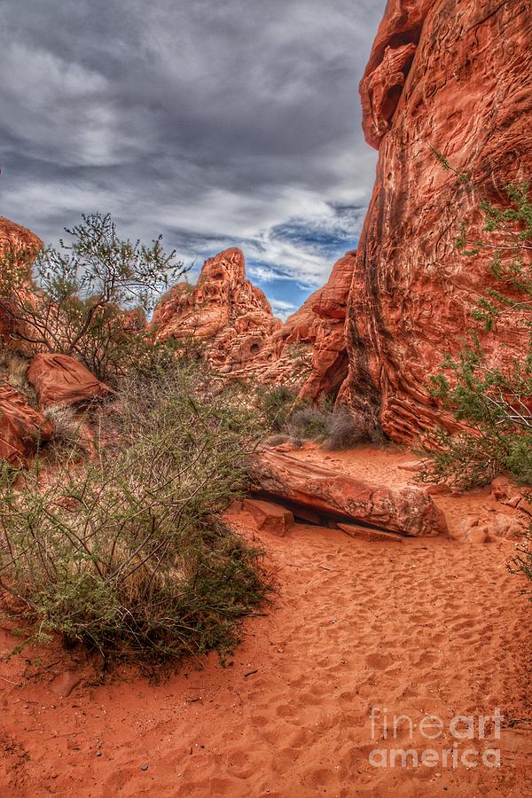 Valley of Fire Earthscapes 8 Photograph by Rodney Lee Williams