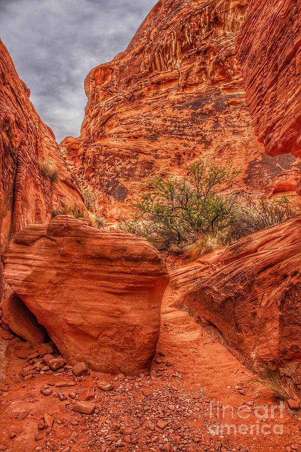 Valley of Fire Earthscapes 9 Photograph by Rodney Lee Williams