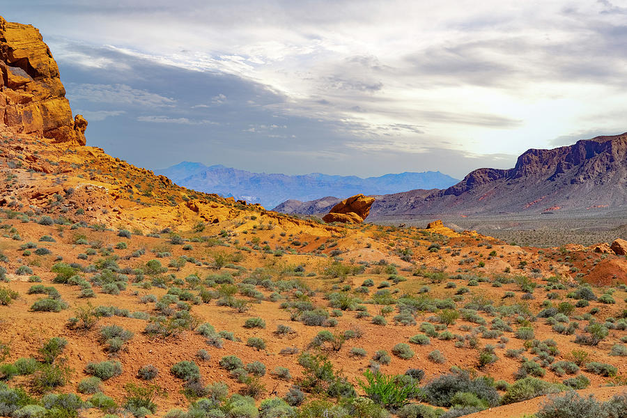 Valley Of Fire Photograph by Frank Wilson
