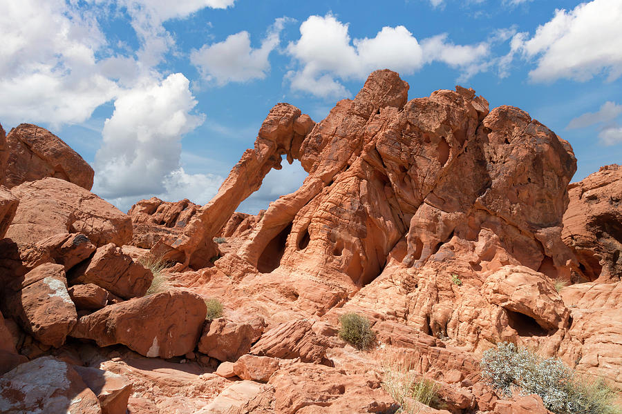 Valley Of Fire III Photograph by Ricky Barnard
