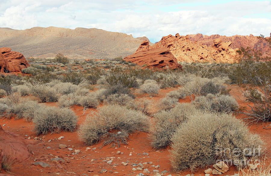 Valley Of Fire Photograph