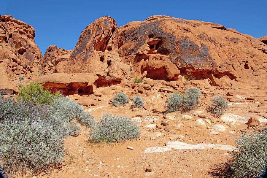 valley of fire Nevada petroglyphs red rock, rock varnish vegetation blue sky 2 3112020  Photograph by David Frederick