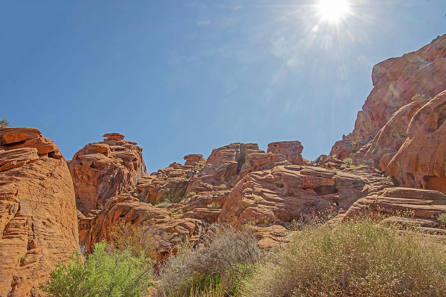 Valley of Fire Nevada sun, mountains red rocks, scrub vegetation blue sky March 2020 2 3222020 0465 Photograph by David Frederick Valley of Fire Nevada sun, mountains red rocks, scrub vegetation blue sky March 2020 2 3222020 0465 Photograph by David Frederick