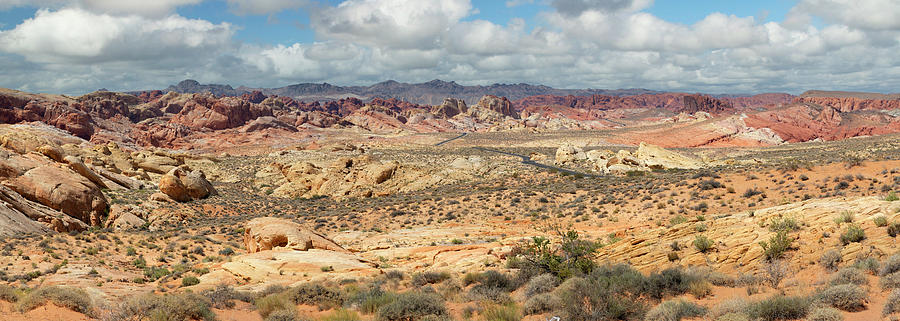 Valley Of Fire Panorama Photograph by Ricky Barnard