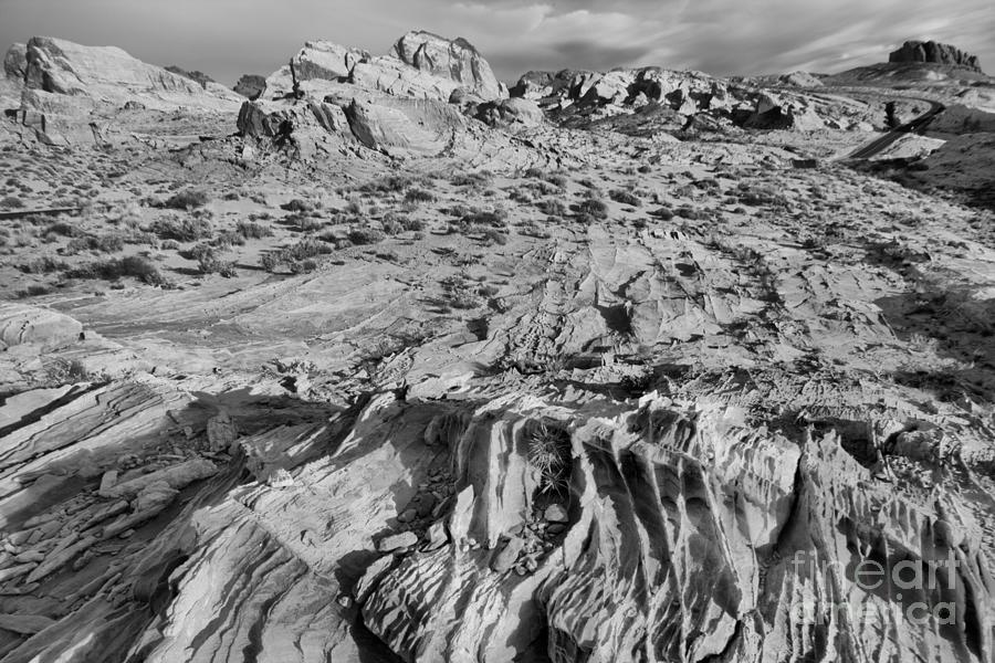 Valley Of Fire Pastel Landscape Black And White Photograph by Adam Jewell