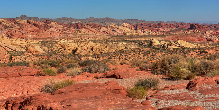 Valley of Fire Photograph by Paul Freidlund