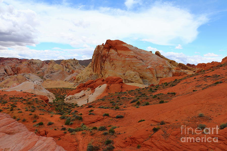 Valley Of Fire Red Photograph by Christiane Schulze Art And Photography