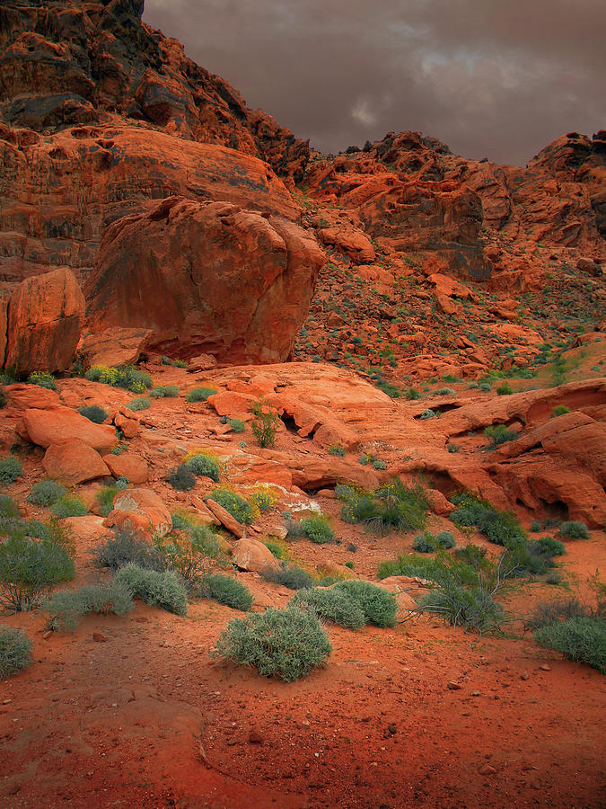Valley Of Fire Red Sandstone Cliffs Photograph by Frank Wilson