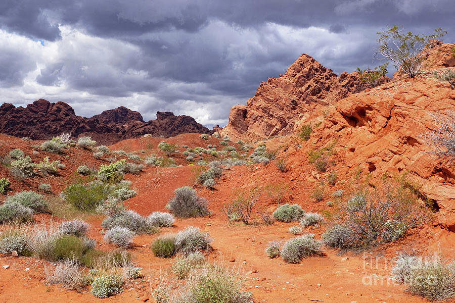 Valley of Fire State Park Photograph by Arterra Picture Library