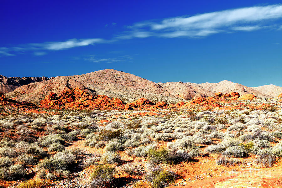 Valley of Fire State Park in Nevada Photograph by John Rizzuto