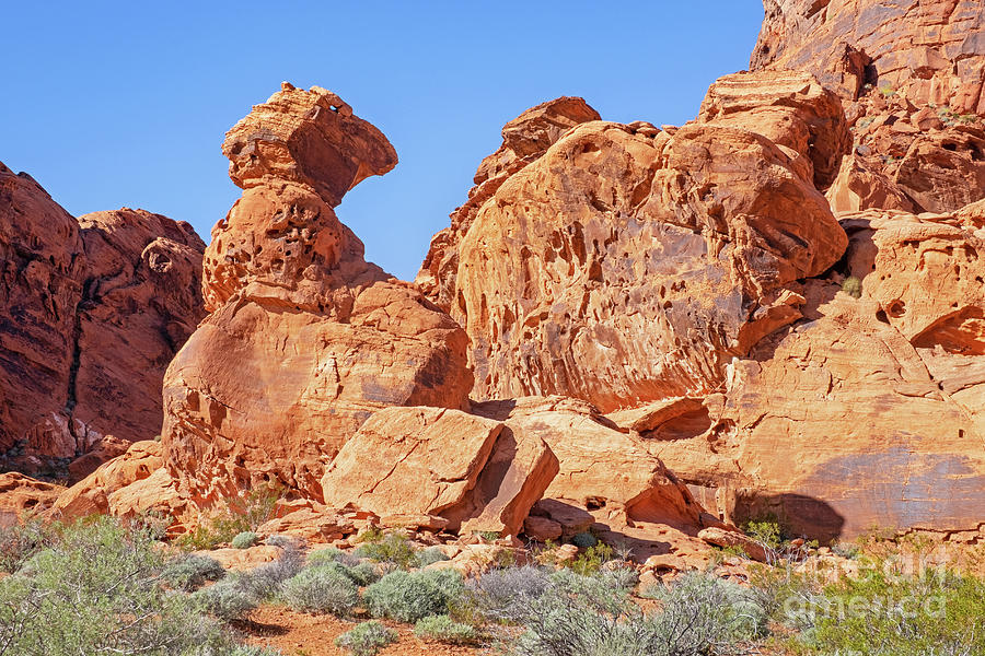 Valley of Fire State Park, Nevada Photograph by Arterra Picture Library