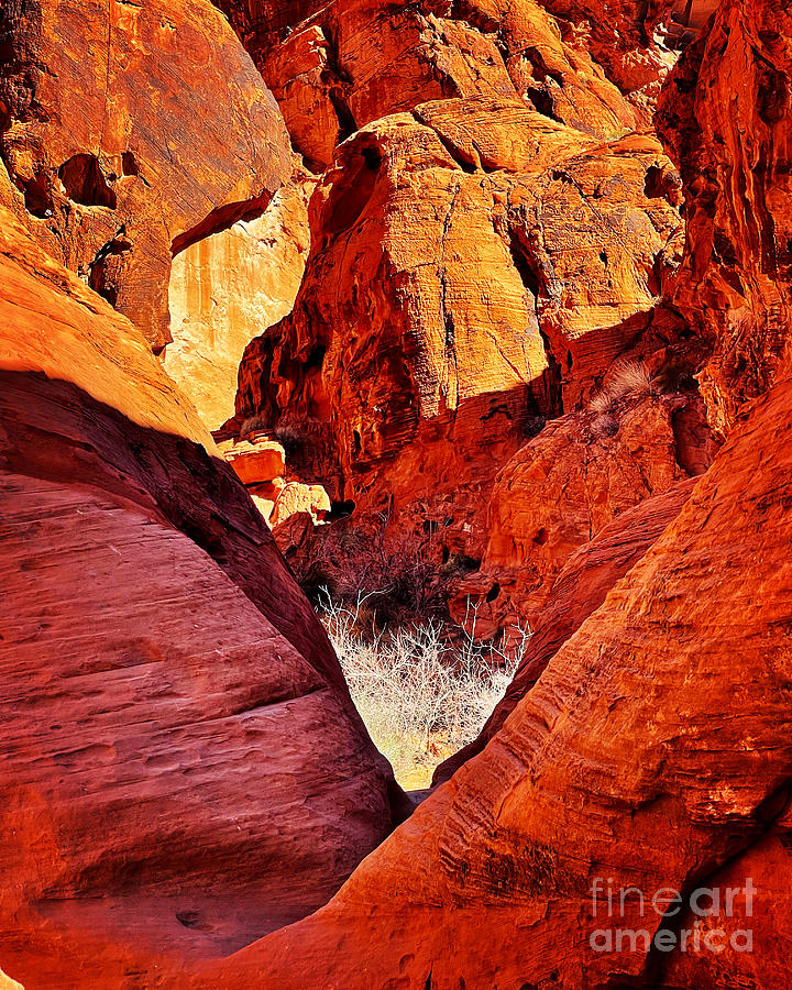 Valley of Fire SP Nevada Photograph by Suzanne Lorenz