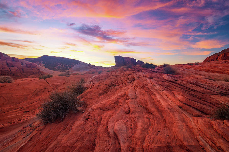 Valley Of Fire Photograph by Tassanee Angiolillo
