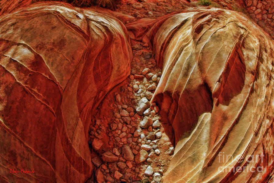 Valley Of Fire Textures Color Photograph by Blake Richards