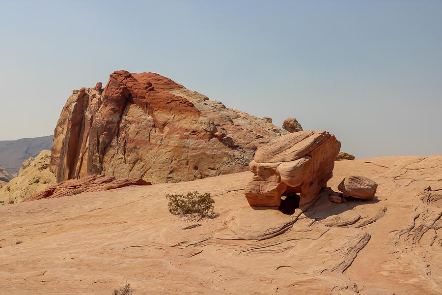 Valley of Fire View Photograph by Dawn Richards