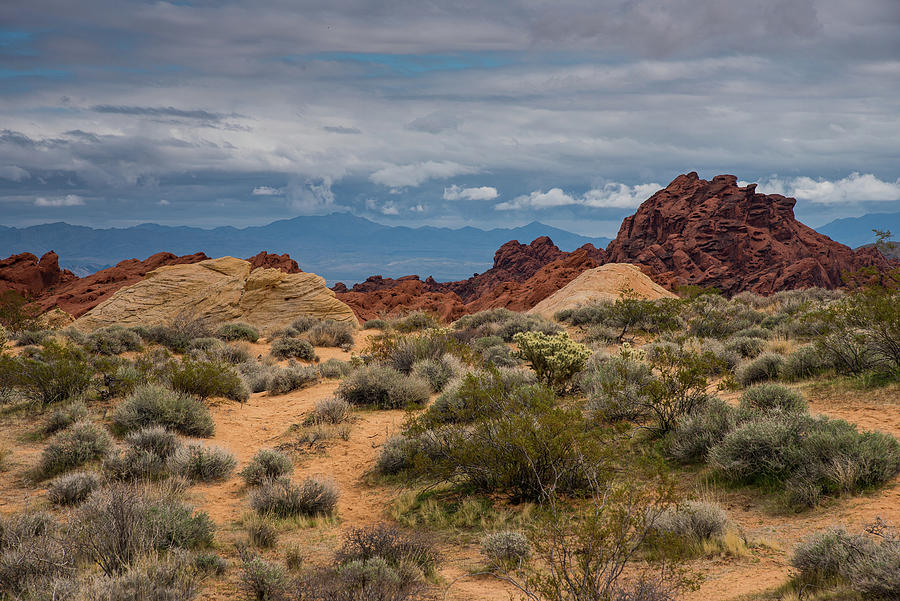 Valley of Fire Vista Photograph by Lynn Thomas Amber