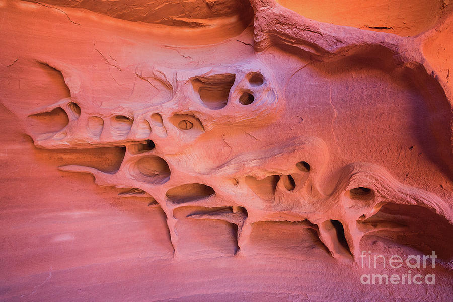 Valley of Fire Windstone Arch Wall Photograph by Maria Struss Photography