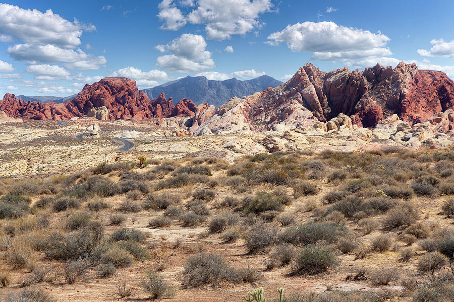 Nature Photograph - Valley Of Fire XIII by Ricky Barnard