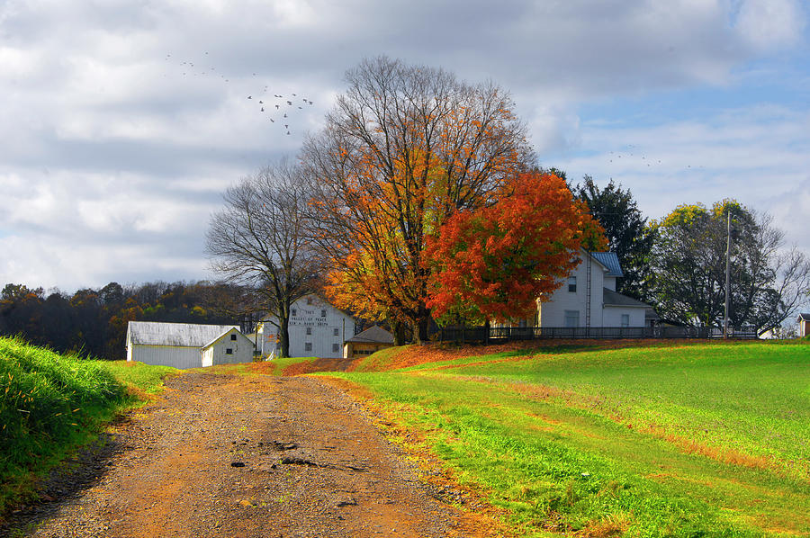 Valley Of Peace Photograph by Jack Hunt