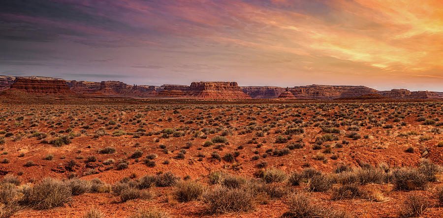 Desert Photograph - Valley of the Gods Sunrise by Thomas Hall