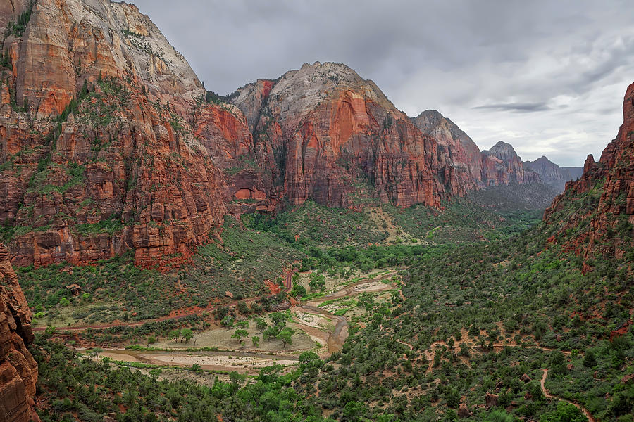 Valley of Zion National Park Photograph by John Twynam