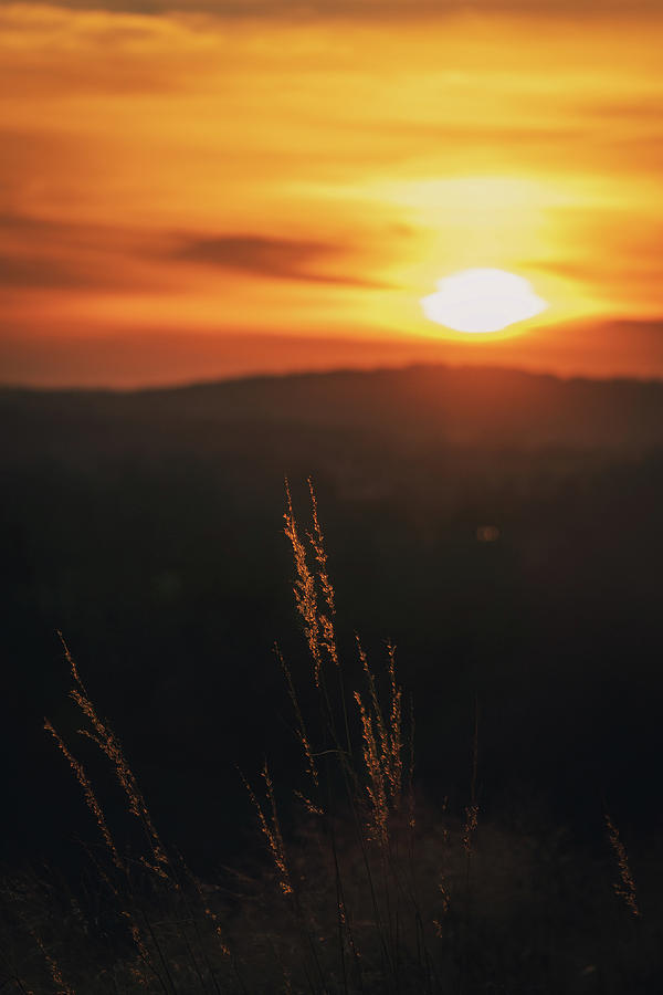 Valley Sun Photograph by Jason Fink