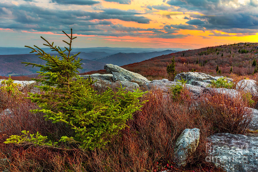 Valley View From Dolly Sods Photograph by Karen Jorstad