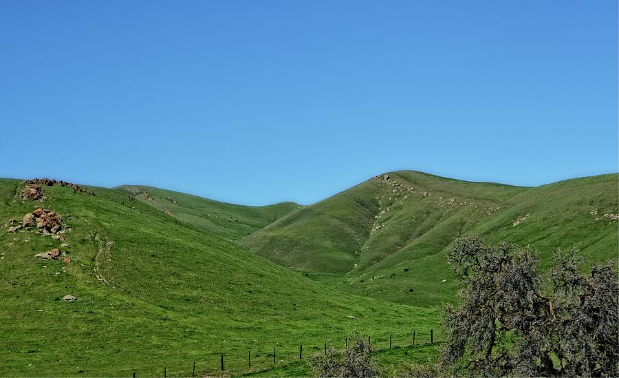Valleys Hills and Blue Skies Photograph by Maggy Marsh