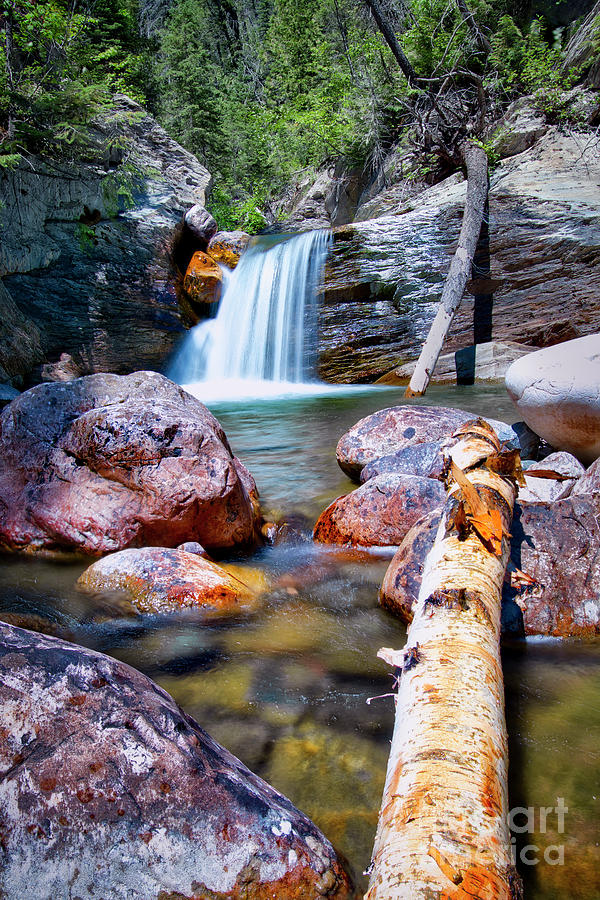 Van Creek Fall Photograph by Thomas Nay