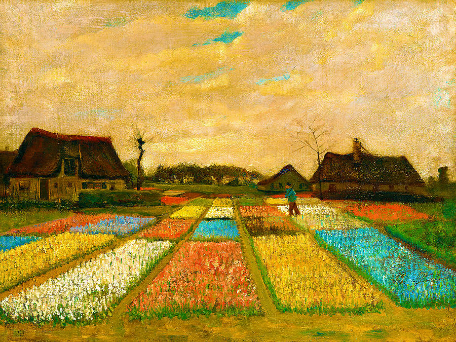 Van Gogh Flower Beds In Holland Painting by Tony Rubino