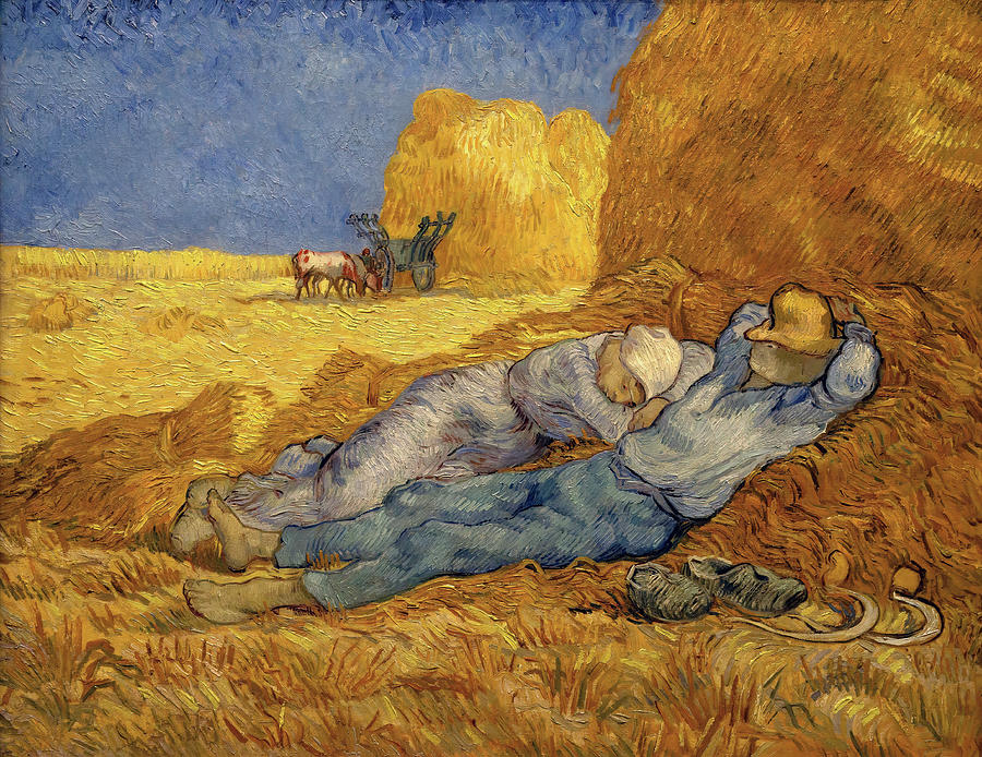 Van Gogh Siesta Photograph by Weston Westmoreland