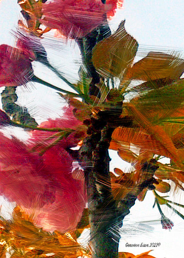 Van Goghs Cherry Blossoms  Digital Art by Genevieve Esson
