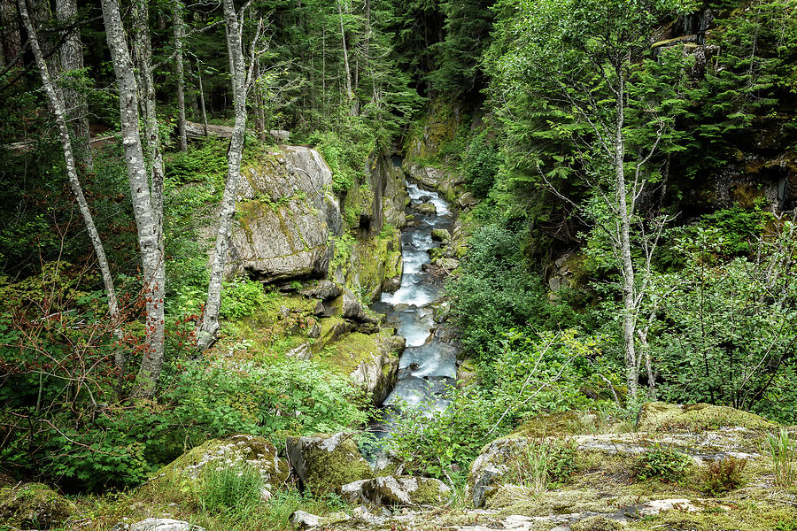 Van Trump Creek in Mount Rainier National Park Photograph by Belinda Greb