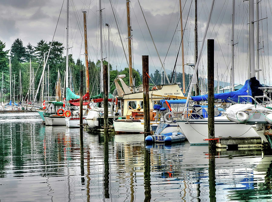 Vancouver Boat Harbor Photograph by Anthony M Davis